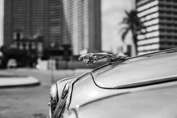 Casino Extra Application Android/iOS